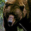 Profile Picture of mayo.george@gmail.com (@mayo.george@gmail.com) on Flickr