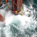 Profile Picture of Chat the rat (@Chat the rat) on Flickr