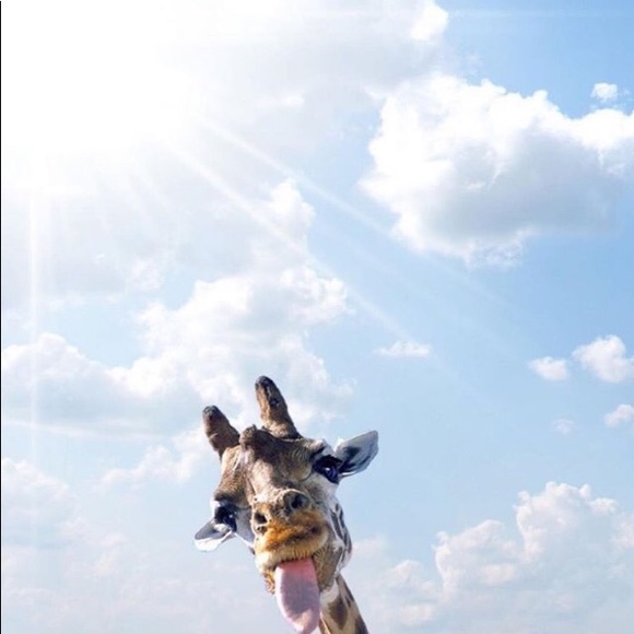 Profile Picture of Ava Perricone (@avabavaaa) on Poshmark