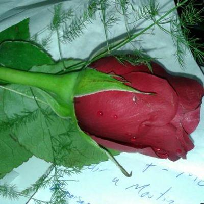 Profile Picture of Elizabeth Lain (@52c9cedd8626428) on Twitter