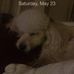 Profile Picture of Michael Declue (@michael.declue.31) on Facebook