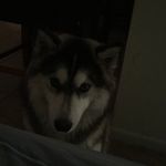 Profile Picture of Richard Lyles (@lylesrichard) on Instagram