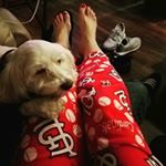 Profile Picture of Tracie Jefferson (@traciejeff) on Instagram