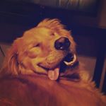 Profile Picture of Mark Orr (@markworr) on Instagram