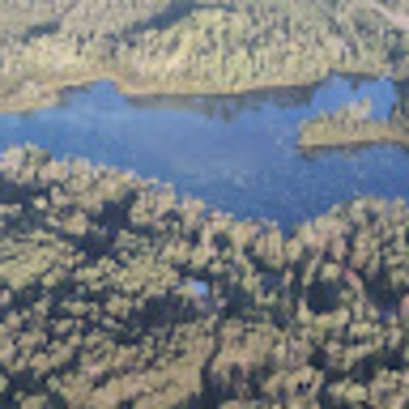 Profile Picture of Kev Schmidtke (@kevschmidtke) on Poshmark