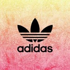 Profile Picture of Lea Colson (@colson_lea) on Twitter