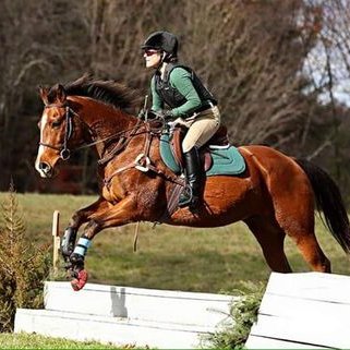 Profile Picture of Dana Nevedal (@DCNev) on Twitter