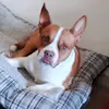 Profile Picture of Ivan Jacobs (@ivan.jacobs00) on Tiktok
