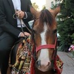 Profile Picture of Brian Douglas (@briandouglas900) on Instagram