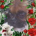 Profile Picture of Kenneth Floyd (@kenneth.floyd.10236) on Instagram