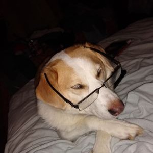 Profile Picture of Jay Bayliss Resists (@BenjaminBaylis4) on Twitter