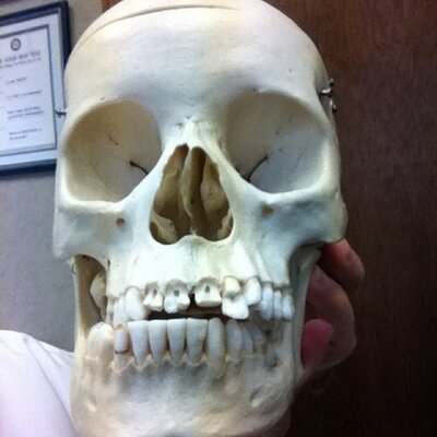 Profile Picture of Alex Quezada (@Alex_QuezadaDDS) on Twitter