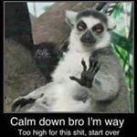 Profile Picture of Wyatt scott janzen (@wyattscott5815) on Instagram