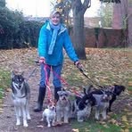 Profile Picture of Twyford Pets (@twyford.pets) on Facebook