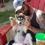 Profile Picture of Kyle Whitmore (@whitmore_kyle) on Instagram