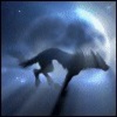 Profile Picture of John L. Arsenault (@johnarsenault) on Twitter