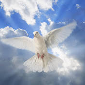 Sarah Razo - Youtube Profile Picture of Sarah Razo (@sarahrazo8533) on Youtube