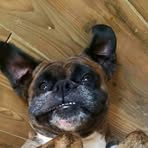 Profile Picture of Nathaniel Hester (@nathaniel.hester.969) on Facebook