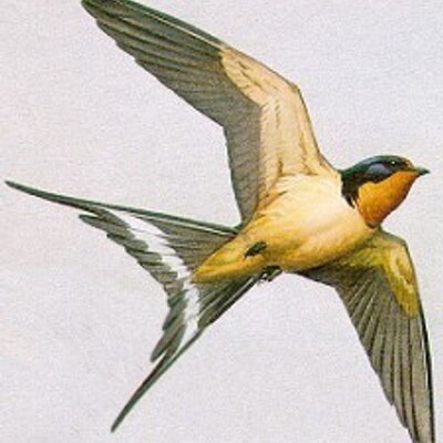 Profile Picture of Valerie Parsons (@val_parsons_) on Twitter