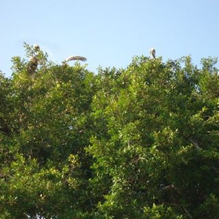 Profile Picture of Roberto Adames (@Roberto-Adames) on Facebook