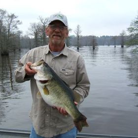 Profile Picture of Scottie Franklin (@nichemarkethelp) on Pinterest