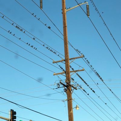 Profile Picture of Chris Leboeuf (@ChrisLeboeuf5) on Twitter