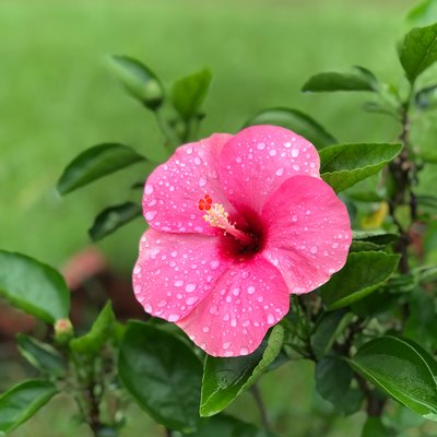 Profile Picture of Jay Shanker Dwivedi (@JayDwivedi) on Twitter