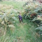 Profile Picture of Chris Doody (@chris.doody.7) on Instagram