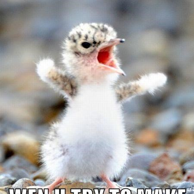 Profile Picture of TERROR (@VasquezKeahn) on Twitter