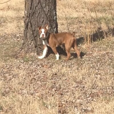 Profile Picture of Brian Slayden (@brianslayden) on Twitter