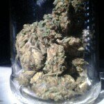 Profile Picture of matthew carrillo (@marijuana_bitch) on Instagram