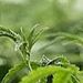 Profile Picture of Mike Sterkel (@mikesterkel) on Pinterest