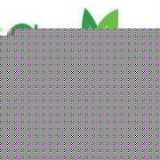 Profile Picture of Greenessence Living (@greenessenceliving) on Myspace