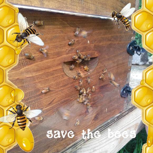 Profile Picture of Fabian Ramos (@yungjustice440) on Poshmark