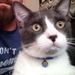 Profile Picture of Daniel Wilbur (@danielsanw36) on Pinterest