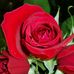 Profile Picture of Marilyn Quinn (@marilyn.quinn.39) on Facebook