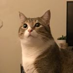Profile Picture of Morgan Schell (@msche11) on Instagram