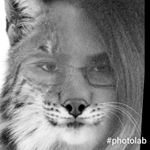 Profile Picture of Heather Nestor (@nightowlhippie) on Instagram