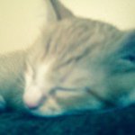 Jonathan Jovan Bryant - Instagram Profile Picture of Jonathan Jovan Bryant (@jonathanbryant2003) on Instagram