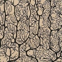 Profile Picture of ChatLab (@ChatLab) on Twitter