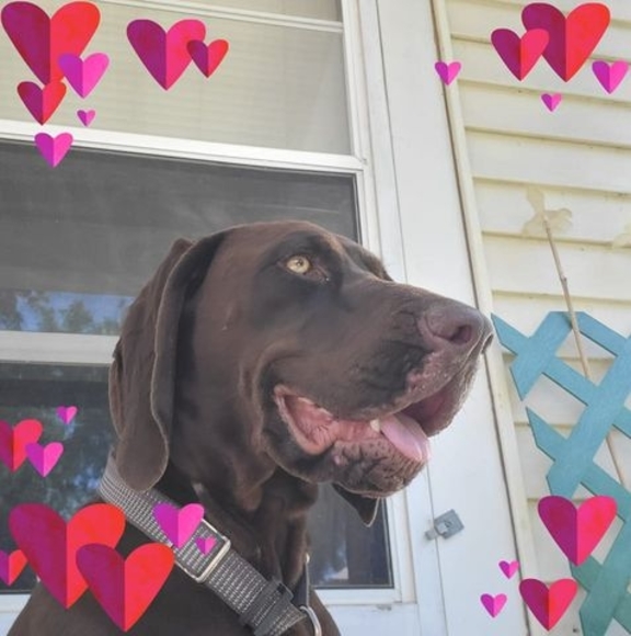 Profile Picture of Thomas Emery (@thomemry3) on Poshmark