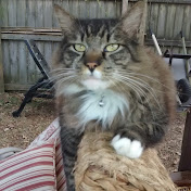 Profile Picture of Deborah Burns (@deborahburns424) on Youtube