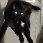 Profile Picture of Nancy Lammerteyn (@nancylammerteyn) on Instagram