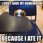 Profile Picture of Carson Griffith (@lil_itily_spamzz) on Instagram