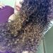 Profile Picture of Marilyn robles (@lizzyrobles16) on Pinterest