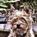 Profile Picture of Jonathan Doller (@jonathan.doller.1) on Facebook