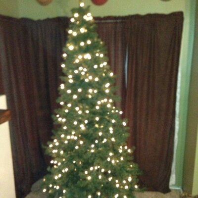 Profile Picture of James Sweetman (@jp_sweetman) on Twitter