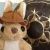 Profile Picture of David Mullany (@mullanyd) on Pinterest