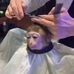 Profile Picture of David Harcar (@david.harcar.79) on Facebook