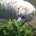 Profile Picture of Joni Burklund (@joniforrest) on Pinterest